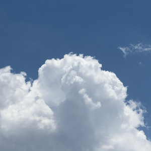 亚洲熟妇色自偷自拍另类
